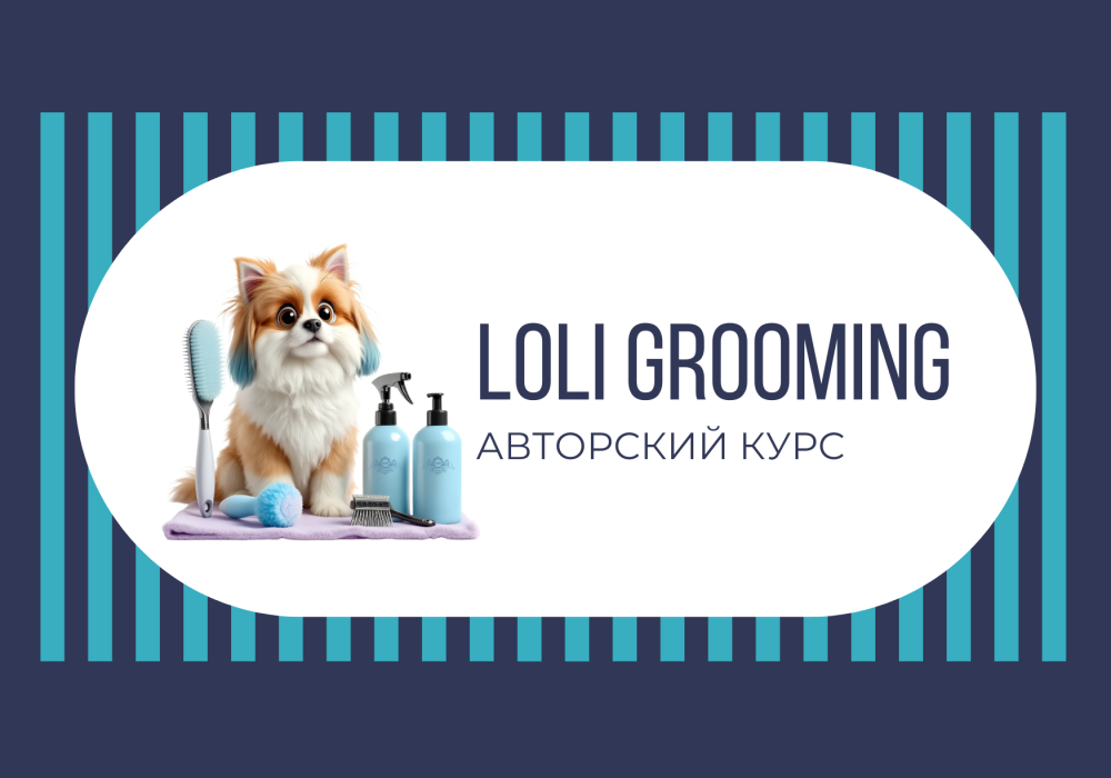 LoliGrooming Academy: сайт и бренд школы груминга