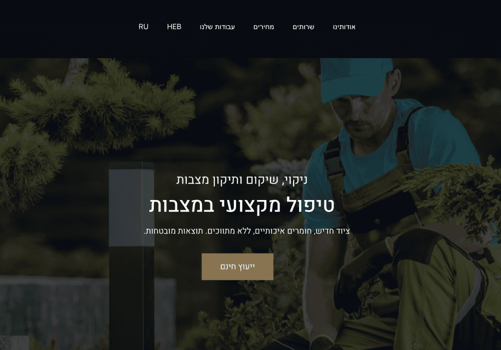 Высококачественный дизайн и разработка сайтов для профессиональной презентации.